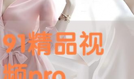 91在线视频精品,海量优质内容，畅享视听盛宴